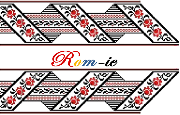 ROM-IE